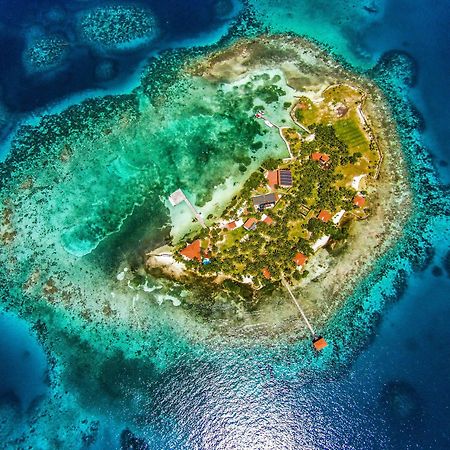 Hatchet Caye Island Resort (Adults Only) Placencia 외부 사진