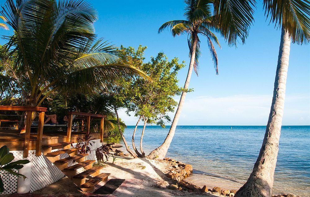Hatchet Caye Island Resort (Adults Only) Placencia 외부 사진