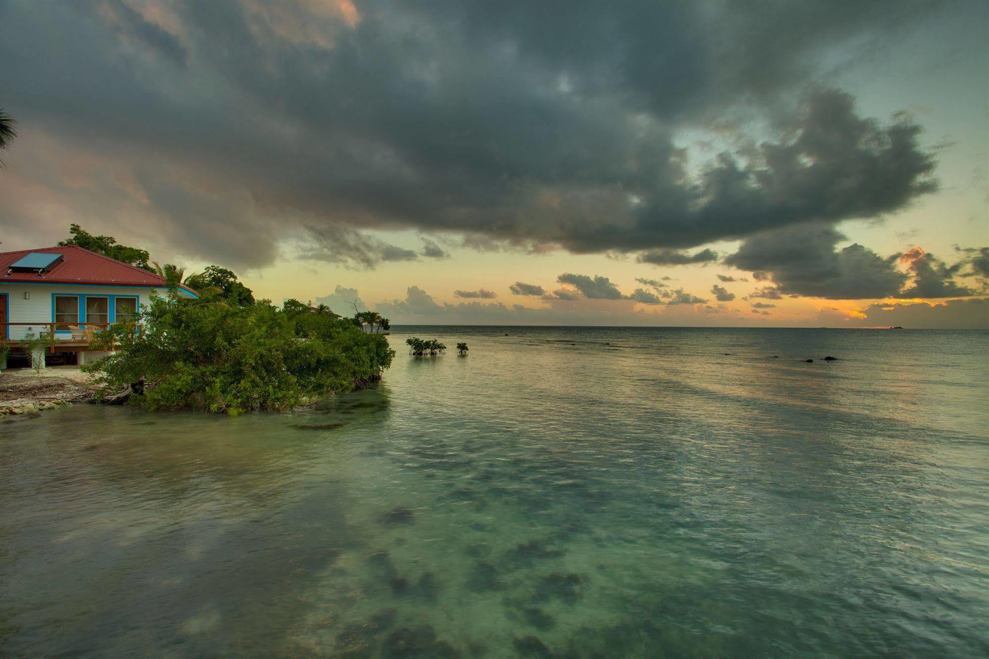 Hatchet Caye Island Resort (Adults Only) Placencia 외부 사진